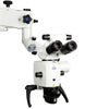 Zumax® 2350 - Enova Illumination