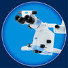 Zumax® 2050