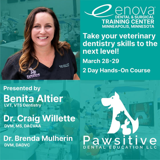 Pawsitive Dentistry March 2025 - Enova Illumination